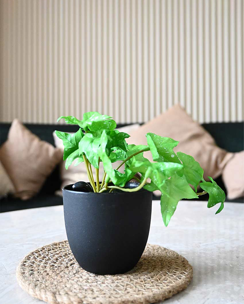 Lifelike Artificial Ivy Plant with Basic Pot | 6 inches