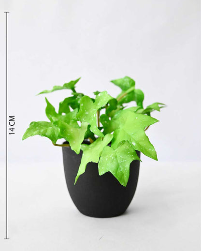 Lifelike Artificial Ivy Plant with Basic Pot | 6 inches