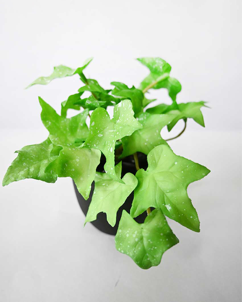 Lifelike Artificial Ivy Plant with Basic Pot | 6 inches