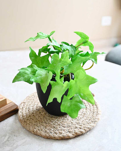 Lifelike Artificial Ivy Plant with Basic Pot | 6 inches