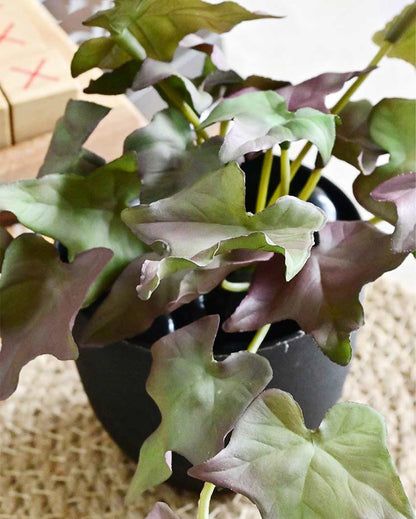 Lifelike Artificial Ivy Plant with Basic Pot | 6 inches