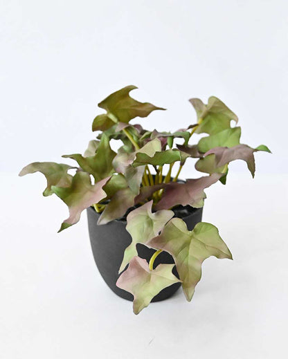 Lifelike Artificial Ivy Plant with Basic Pot | 6 inches