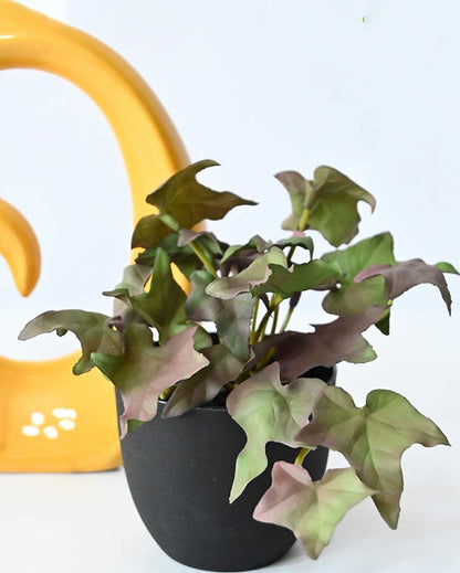 Lifelike Artificial Ivy Plant with Basic Pot | 6 inches