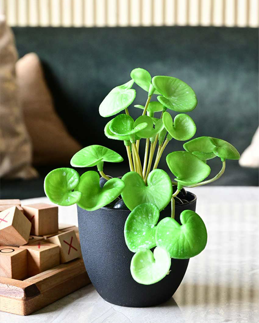 Charming Artificial Hydrocotyle Vulgaris Small Plant with Basic Pot | 6 inches