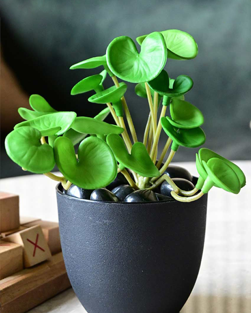 Charming Artificial Hydrocotyle Vulgaris Small Plant with Basic Pot | 6 inches