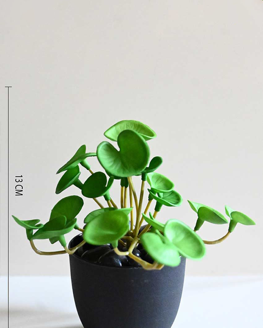 Charming Artificial Hydrocotyle Vulgaris Small Plant with Basic Pot | 6 inches