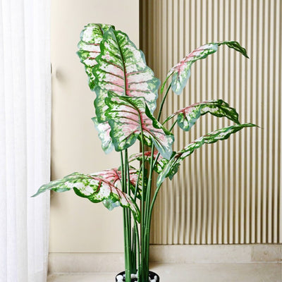 Artificial Tropical Caladium Plant 10 Leaves With Pot | 5 Feet