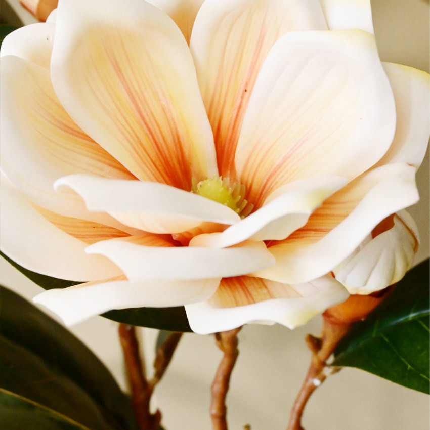 Elegant Artificial Magnolia Branch Flower Without Vase | 2.6 Feet