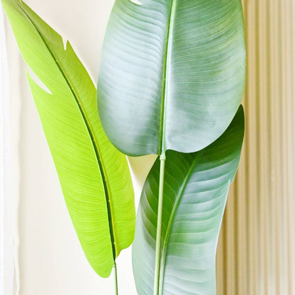 Faux Artificial Banana Leaf Greenery Plant With Pot | 7 Feet