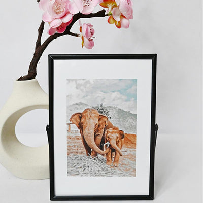 Timeless Charm Black Framed Elephant Photo