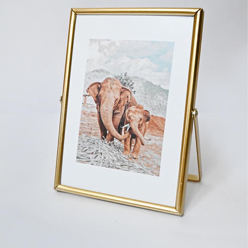 Timeless Charm Golden Framed Elephant Photo