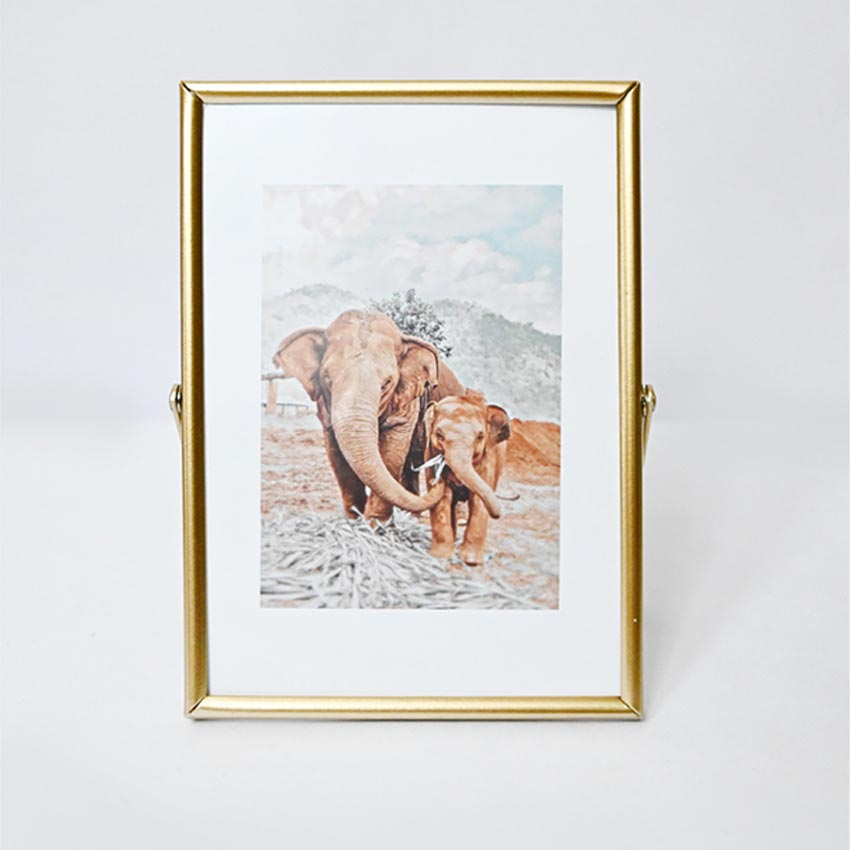 Timeless Charm Golden Framed Elephant Photo