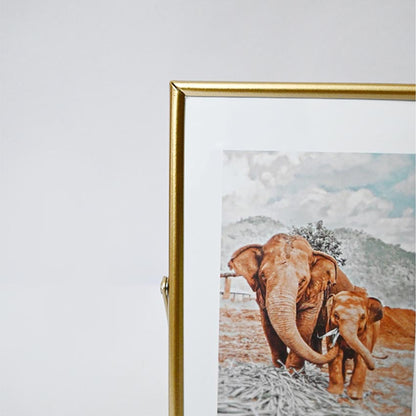 Timeless Charm Golden Framed Elephant Photo