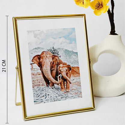 Timeless Charm Golden Framed Elephant Photo