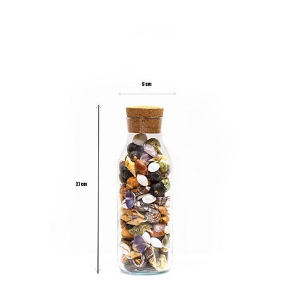 Premium Mix Multicolor Sea Shell Filled Glass Bottle Table Decoration | 4 x 11 inches