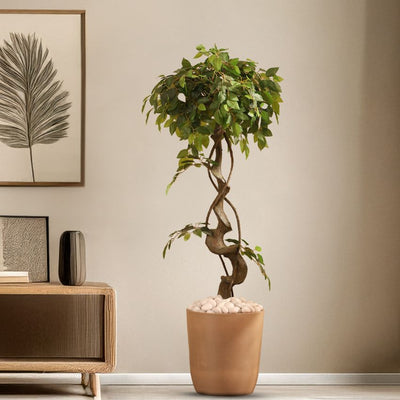 Graceful Twisted Artificial Ficus Bonsai with Pot