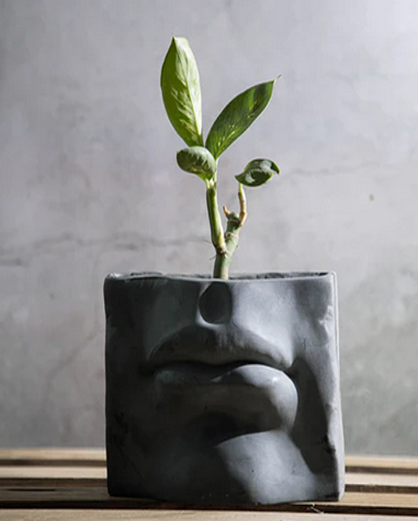 Large Rectangular Shape Bazoo Concrete Planter | 6 x 8 x 3 inches