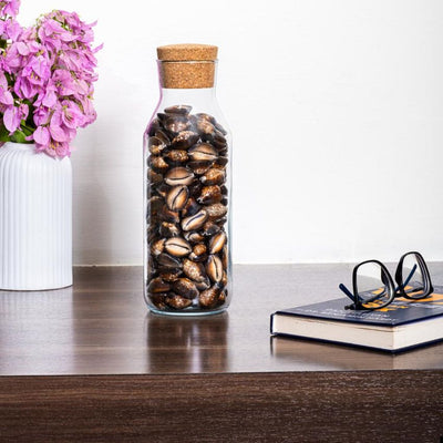 Luxury Snakehead Brown Cowry Shell Filled Glass Bottle Table Decor | 4 x 11 inches