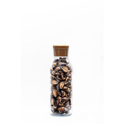 Luxury Snakehead Brown Cowry Shell Filled Glass Bottle Table Decor | 4 x 11 inches