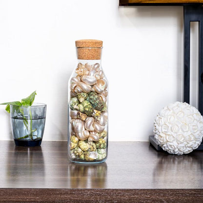 Elegant Turbo Multicolor Shell Filled Glass Bottle Table Decor | 4 x 11 inches