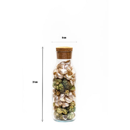 Elegant Turbo Multicolor Shell Filled Glass Bottle Table Decor | 4 x 11 inches