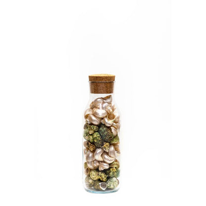 Elegant Turbo Multicolor Shell Filled Glass Bottle Table Decor | 4 x 11 inches