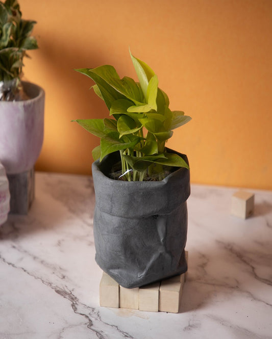 Textured Earthy Appeal Burlap Concrete Planter | 5 x 5 x 5 inches