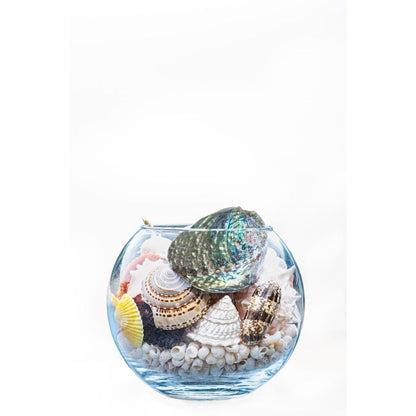 Exotic Multicolor Sea Shell Filled Glass Bowl Table Decor | 7 x 6 inches