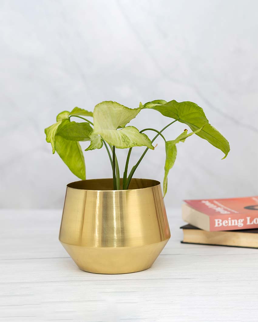 Oak Metal Planter | Plant not included