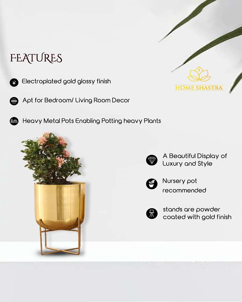 Olive Metal Planter with Stand | 8 x 10 inches | Plant not included