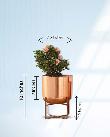 Olive Metal Planter with Stand | 8 x 10 inches | Plant not included