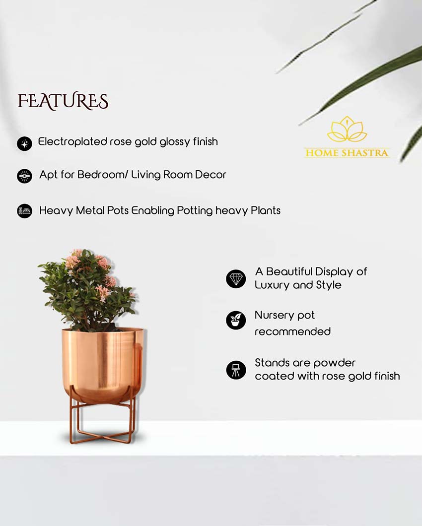 Olive Metal Planter with Stand | 8 x 10 inches | Plant not included