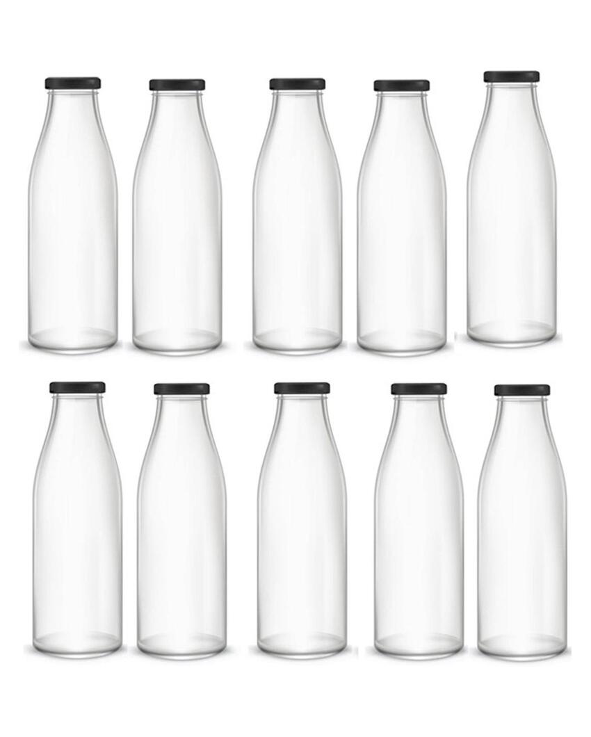 Medium Clear Glass Water and Milk Bottle for Serving Perfect for Kitchen or Office | 500 ML | 3 x 8 inches