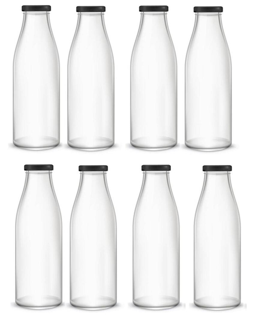 Medium Clear Glass Water and Milk Bottle for Serving Perfect for Kitchen or Office | 500 ML | 3 x 8 inches