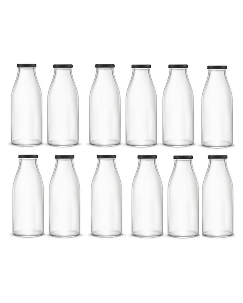 Medium Clear Glass Water and Milk Bottle for Serving Perfect for Kitchen or Office | 500 ML | 3 x 8 inches