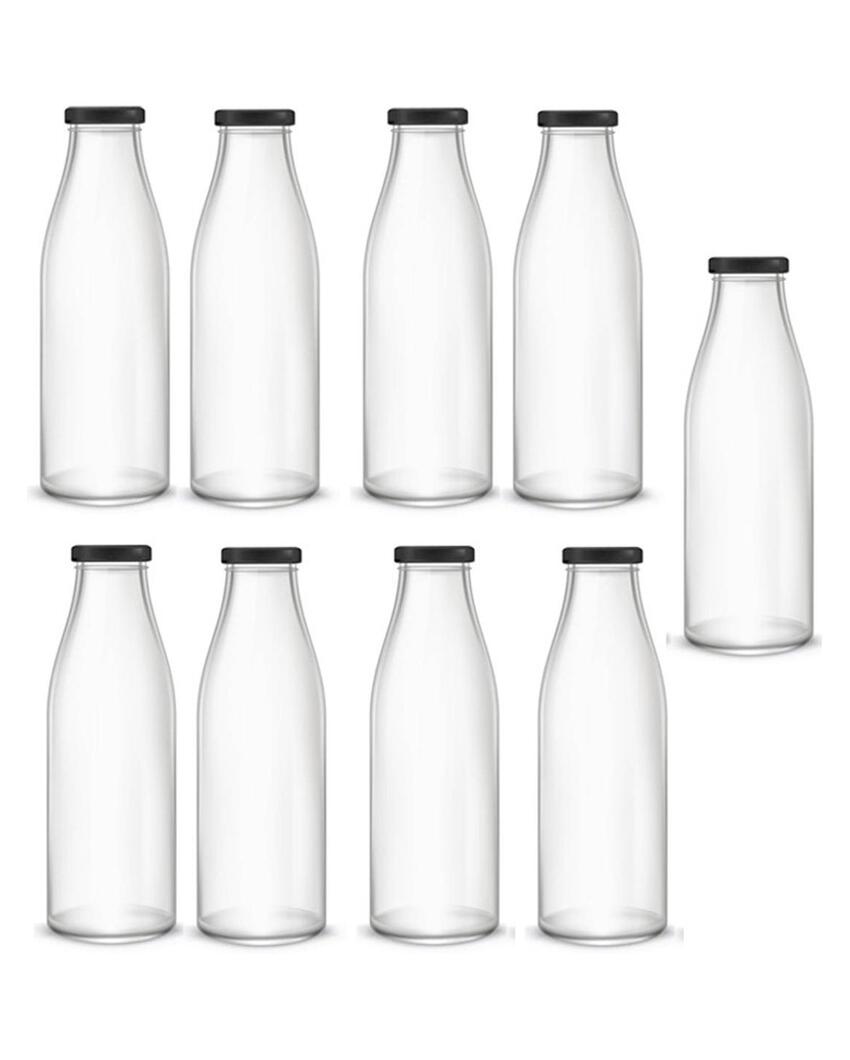 Medium Clear Glass Water and Milk Bottle for Serving Perfect for Kitchen or Office | 500 ML | 3 x 8 inches