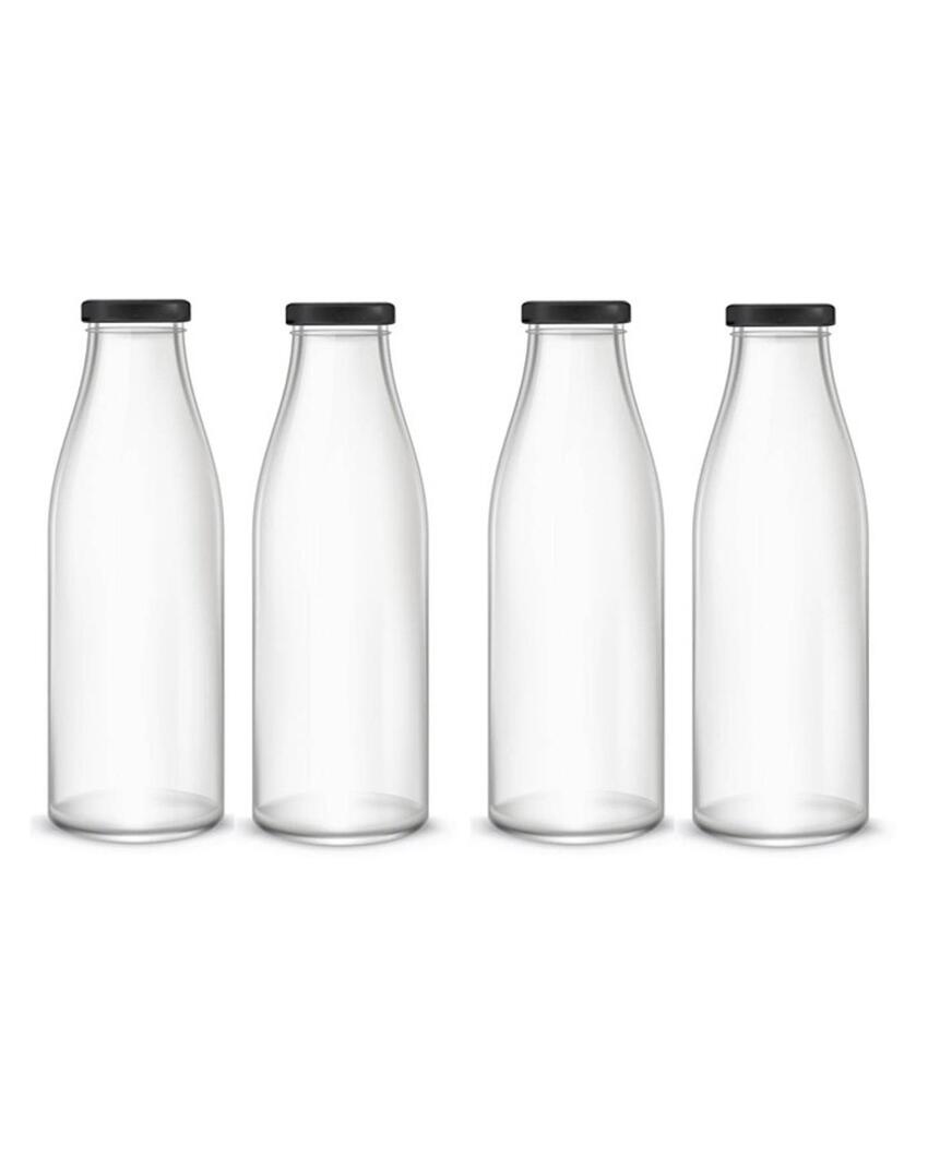 Medium Clear Glass Water and Milk Bottle for Serving Perfect for Kitchen or Office | 500 ML | 3 x 8 inches