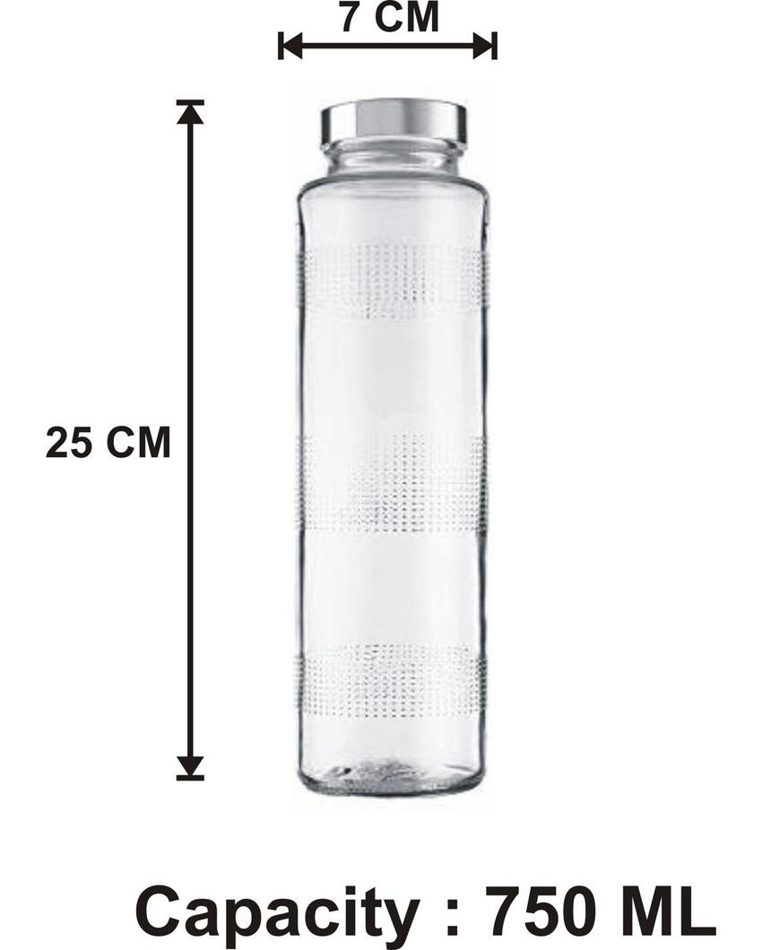 Clear Glass Milk and Water Bottle for Large Capacity Storage Sturdy and Reliable | 750 ML | 3 x 10 inches