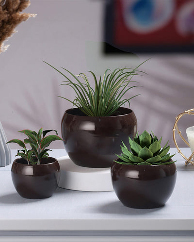 Sunshine Solid Metal Tabletop Planters | Set of 3