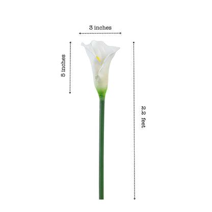Elegant Calla Lily Flower Sticks Without Vase | Set of 5 | 2.2 Feet