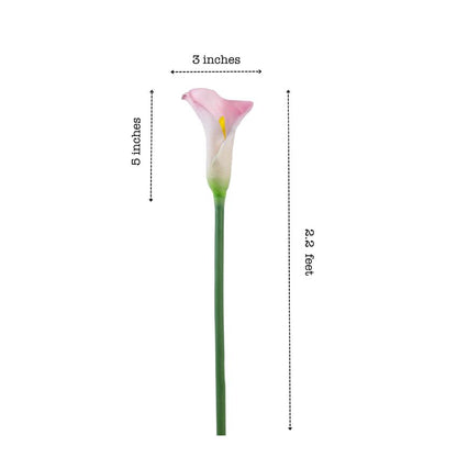 Elegant Calla Lily Flower Sticks Without Vase | Set of 5 | 2.2 Feet