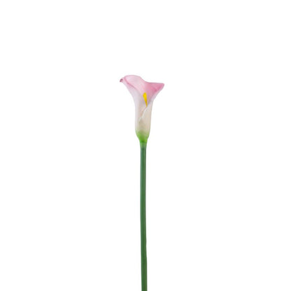 Elegant Calla Lily Flower Sticks Without Vase | Set of 5 | 2.2 Feet
