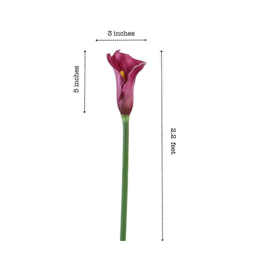 Elegant Calla Lily Flower Sticks Without Vase | Set of 5 | 2.2 Feet