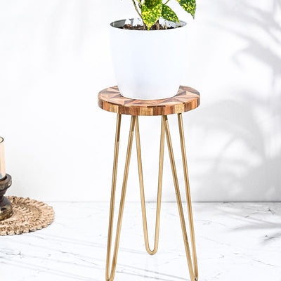 Ivy Perch Plant Stand | Multiple Colors Brown & Gold