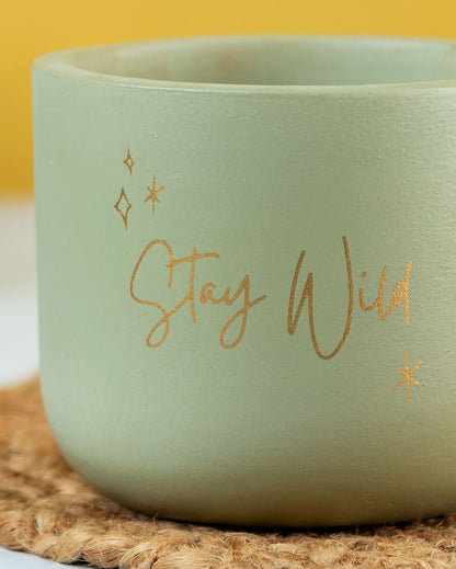 Stay Wild Terracotta Planter