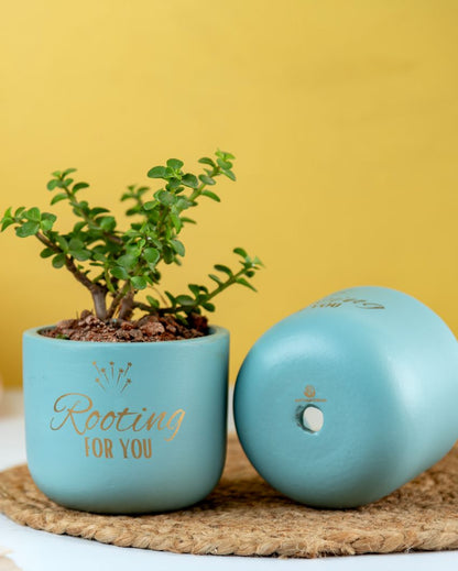 Rooting For You Terracotta Planter