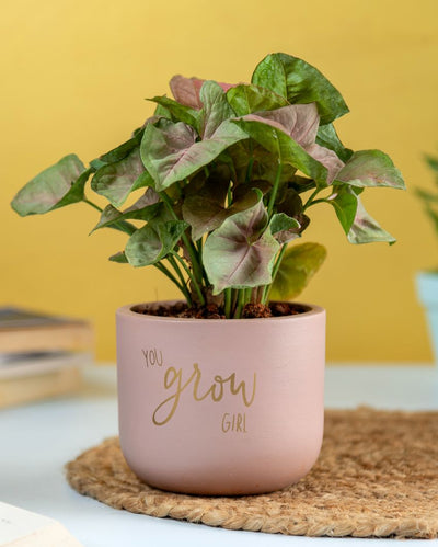 You Grow Girl Terracotta Planter