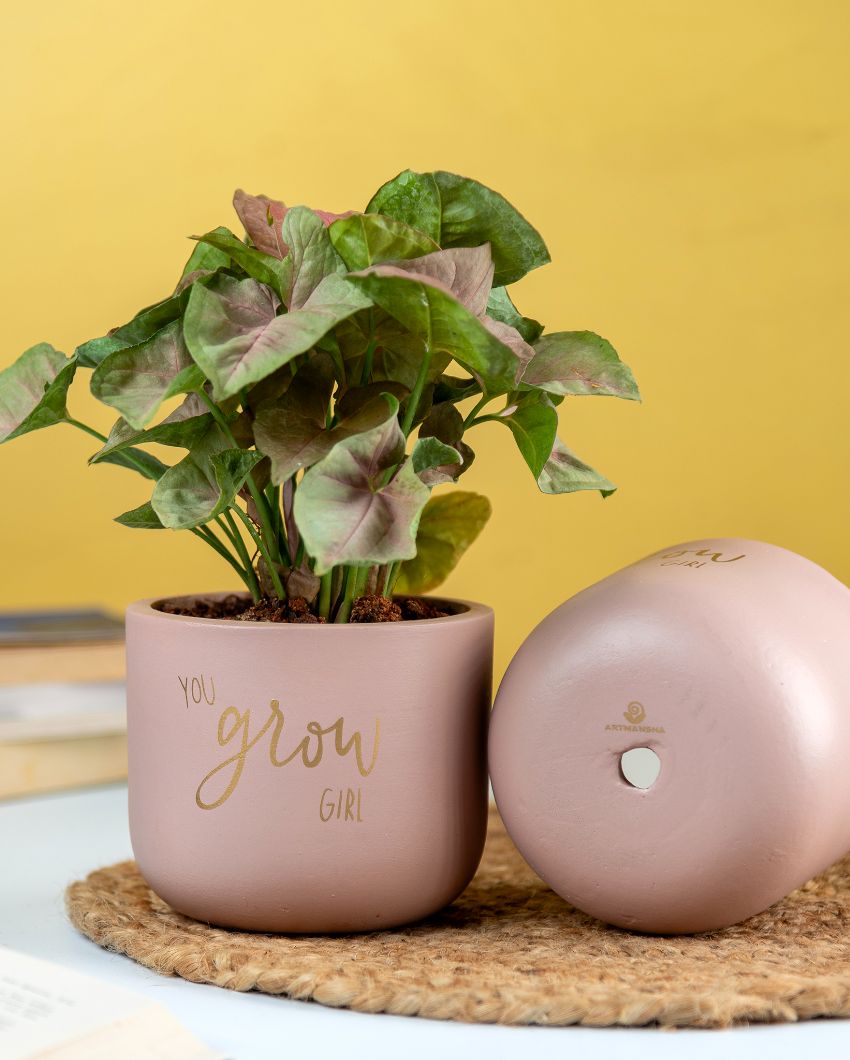 You Grow Girl Terracotta Planter