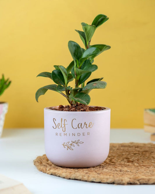 Self Care Reminder Terracotta Planter