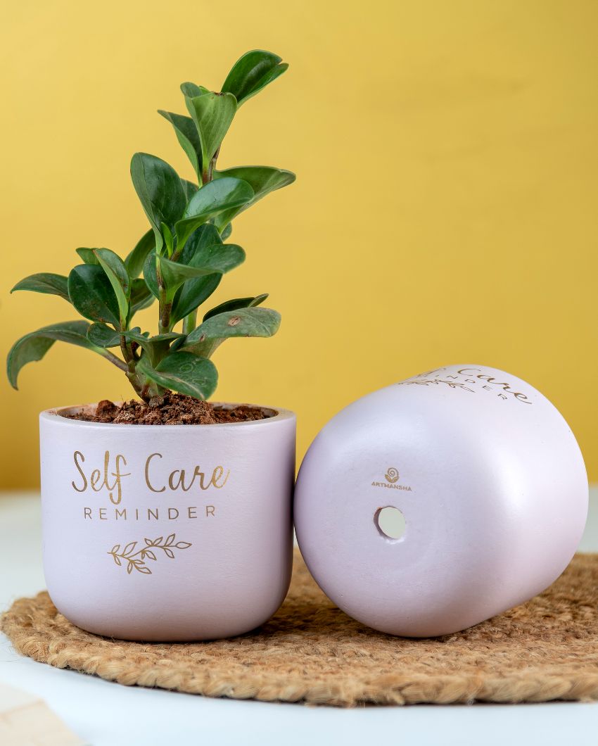 Self Care Reminder Terracotta Planter